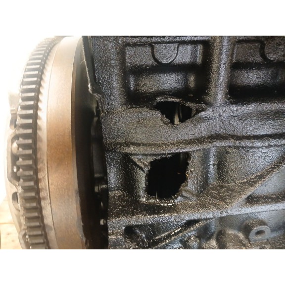 Recambio de despiece motor para skoda octavia ii (1z3) 1.9 tdi referencia OEM IAM BXE  