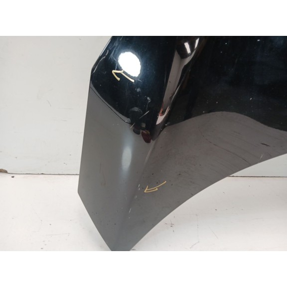 Recambio de capot para renault scenic iii bose edition referencia OEM IAM 651008842R  