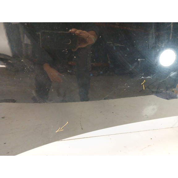 Recambio de capot para renault scenic iii bose edition referencia OEM IAM 651008842R  