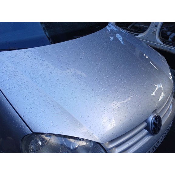 Recambio de capot para volkswagen golf v (1k1) 1.9 tdi referencia OEM IAM   