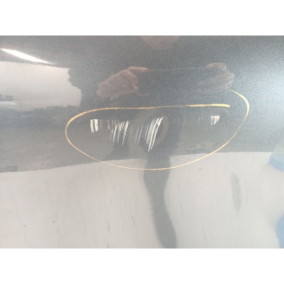 Recambio de puerta trasera derecha para renault kadjar business referencia OEM IAM   