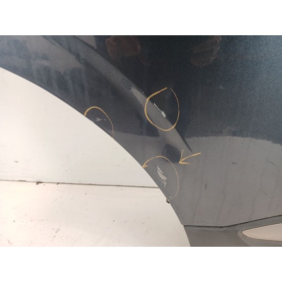 Recambio de puerta trasera derecha para renault kadjar business referencia OEM IAM   