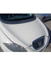 Recambio de capot para seat toledo iii (5p2) 1.9 tdi referencia OEM IAM   