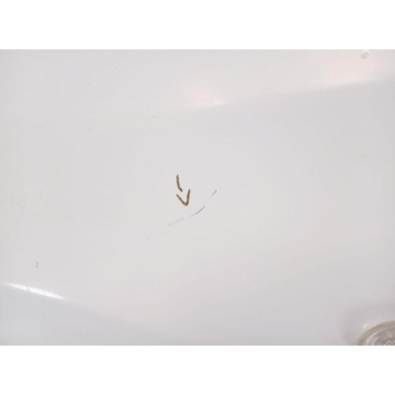 Recambio de aleta delantera izquierda para nissan qashqai i (j10, nj10) 2.0 dci referencia OEM IAM F3101JD0M0  