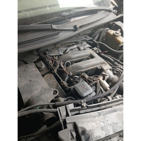 Recambio de despiece motor para bmw 3 coupé (e46) 320 cd referencia OEM IAM 204D4  