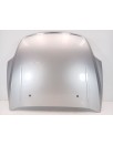 Recambio de capot para ford mondeo iv (ba7) 2.0 tdci referencia OEM IAM  100105622 