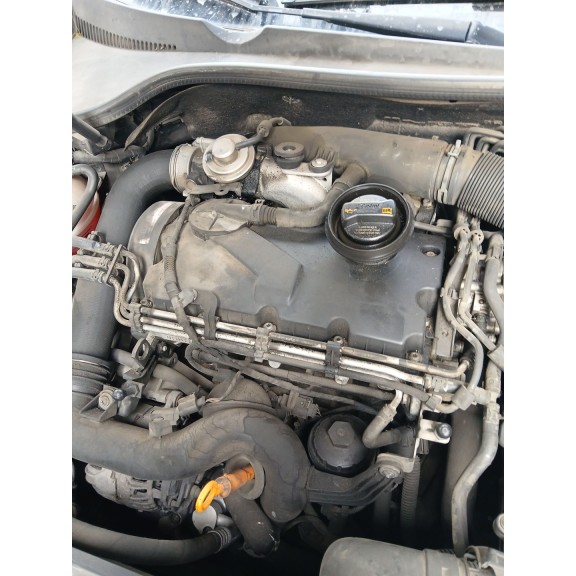 Recambio de motor completo para volkswagen golf v (1k1) 1.9 tdi referencia OEM IAM BXE  