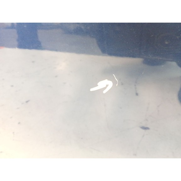 Recambio de puerta trasera izquierda para bmw 3 (e90) 320 d referencia OEM IAM 41007203647  