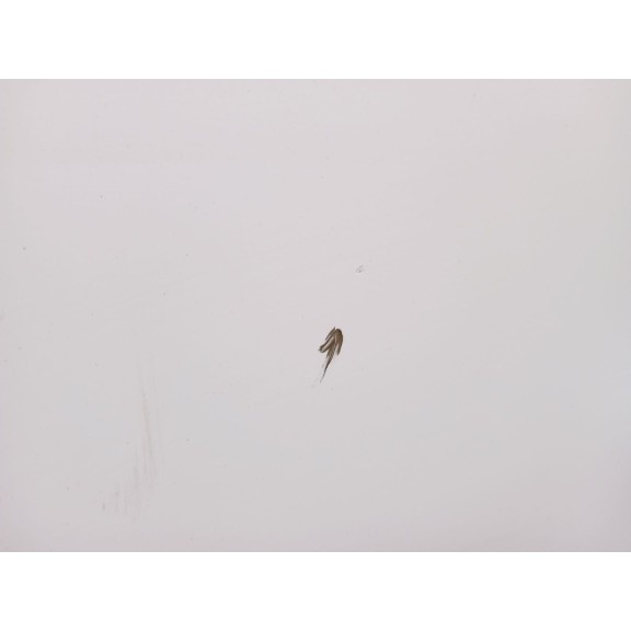 Recambio de capot para hyundai ix55 3.0 v6 crdi 4wd referencia OEM IAM 664003J010  