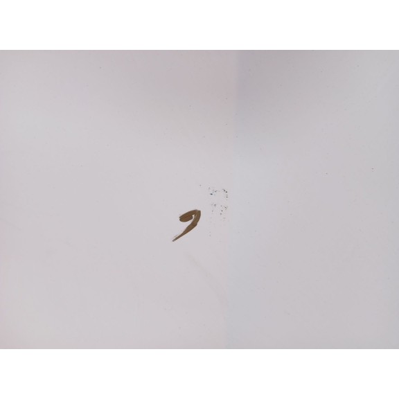 Recambio de capot para skoda yeti (5l) 2.0 tdi referencia OEM IAM 5L0823031A  