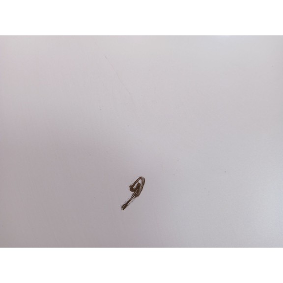 Recambio de capot para nissan juke (f15) 1.2 dig-t referencia OEM IAM F5A0MBA6MA  