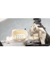Recambio de cerradura puerta trasera izquierda para seat altea (5p1) 1.9 tdi referencia OEM IAM 7L0839015D  