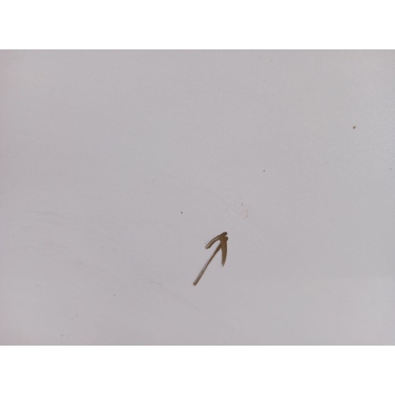 Recambio de puerta delantera izquierda para nissan juke (f15) 1.2 dig-t referencia OEM IAM H0A0ABA6MD  