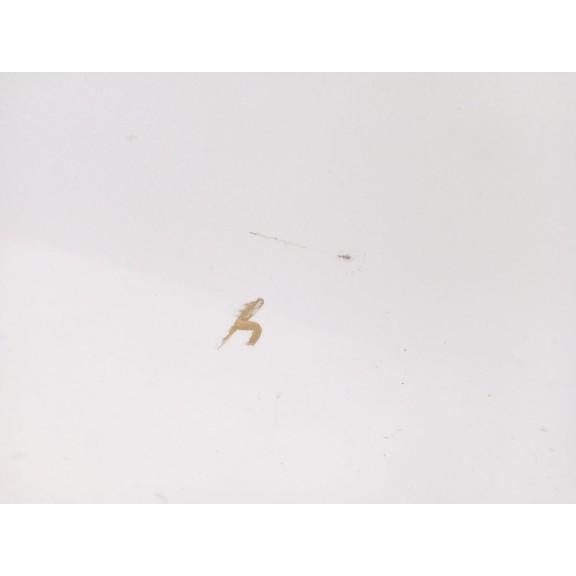 Recambio de puerta trasera izquierda para nissan juke (f15) 1.2 dig-t referencia OEM IAM H2A0ABA6MC  