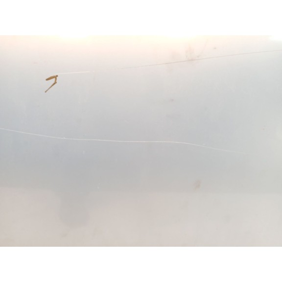 Recambio de puerta delantera izquierda para seat ibiza iii (6l1) 1.4 tdi referencia OEM IAM 6L4831055S  