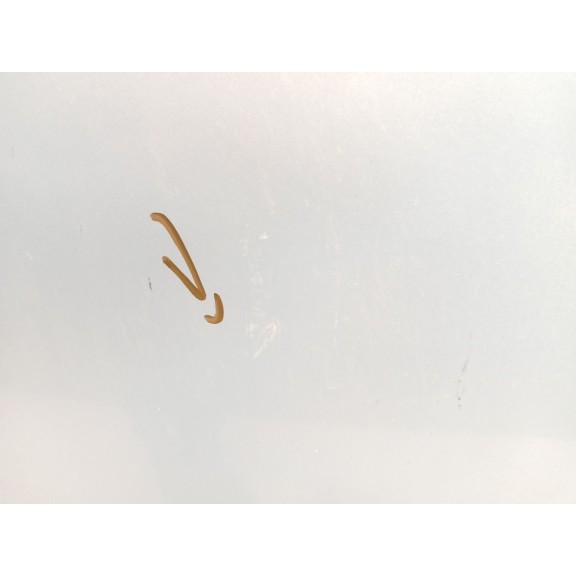 Recambio de puerta delantera derecha para seat ibiza iii (6l1) 1.4 tdi referencia OEM IAM 6L4831056S  