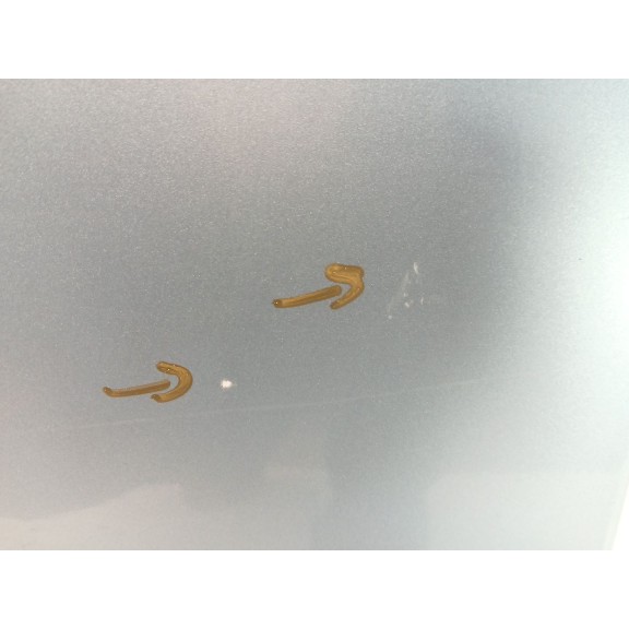 Recambio de puerta delantera derecha para bmw 1 (e81) 116 d referencia OEM IAM 41515A2A378  