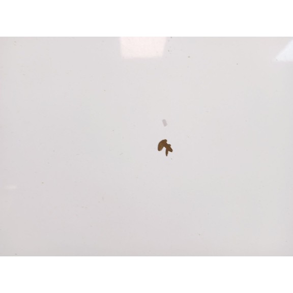 Recambio de puerta trasera derecha para peugeot boxer furgoneta 2.2 hdi 110 referencia OEM IAM 8703G1  