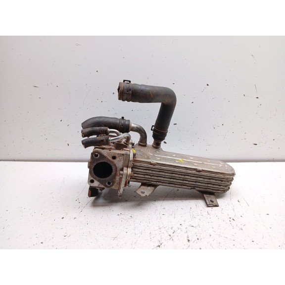 Recambio de enfriador egr para seat leon (1p1) 1.9 tdi referencia OEM IAM 038131513ad  