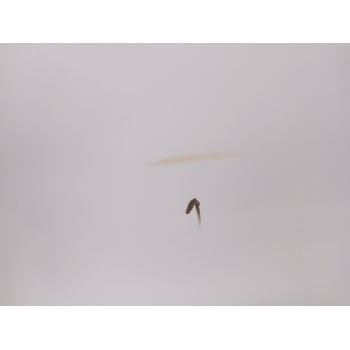 Recambio de puerta trasera izquierda para nissan qashqai ii (j11, j11_) 1.5 dci referencia OEM IAM H2A0AHV0MB  