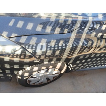 ALETA DELANTERA IZQUIERDA 