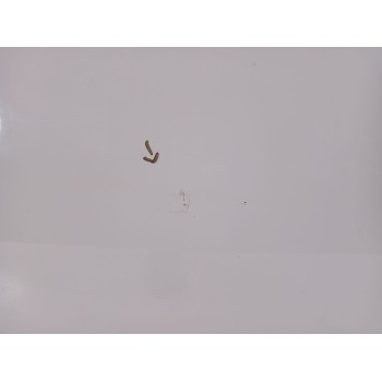 Recambio de puerta delantera derecha para alfa romeo mito (955_) 1.6 jtdm (955axc1b) referencia OEM IAM 50518222  