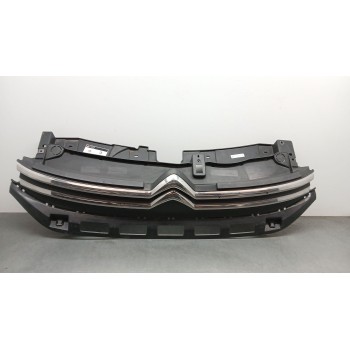 REJILLA PARAGOLPES DELANTERO 9812063477 