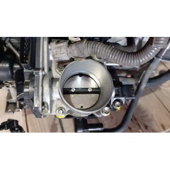 CAJA MARIPOSA 2203037060 