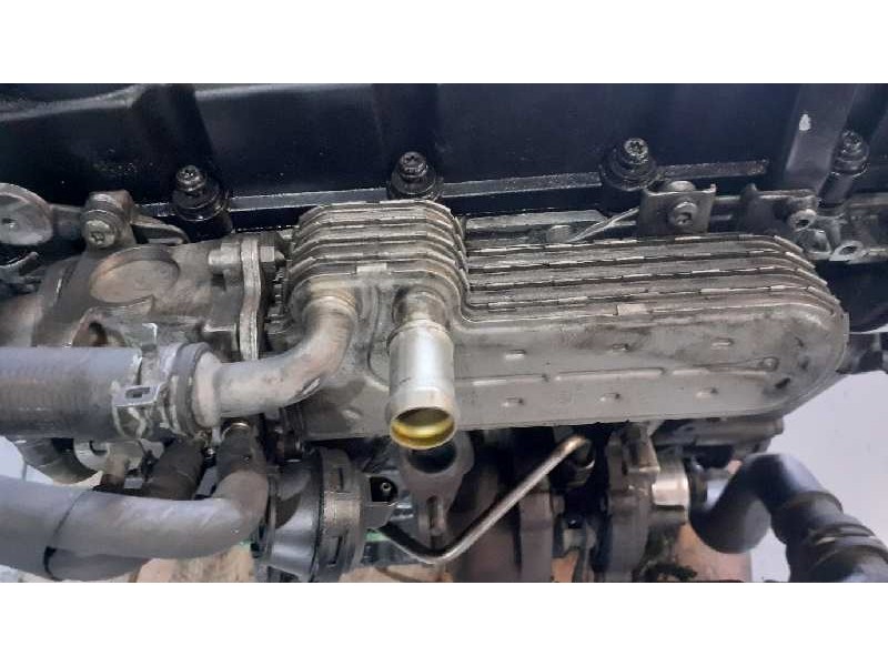 Recambio de enfriador egr para volkswagen golf v berlina (1k1) 2.0 tdi referencia OEM IAM 03G131513J  