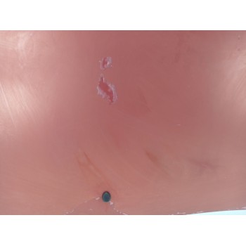 Recambio de capot para peugeot 308 i (4a_, 4c_) 1.6 hdi referencia OEM IAM 7901P6  