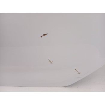 Recambio de puerta trasera izquierda para kia carens iv 1.7 crdi referencia OEM IAM 77003A4000  