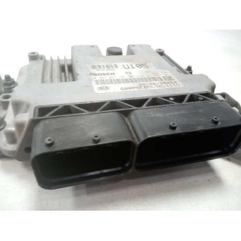Recambio de centralita motor uce para kia carens ( ) basic referencia OEM IAM 0281031101 391202A454 BOSCH