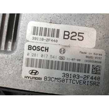 Recambio de centralita motor uce para hyundai santa fe (bm) 2.2 crdi cat referencia OEM IAM 0281017541  