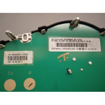 Recambio de cuadro instrumentos para citroën c3 selection referencia OEM IAM 96665882XT PROTECTOR PARTIDO 