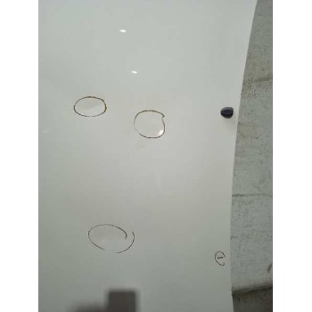 Recambio de capot para citroën jumpy 2.0 hdi sx furg. referencia OEM IAM  1ºSERIE 