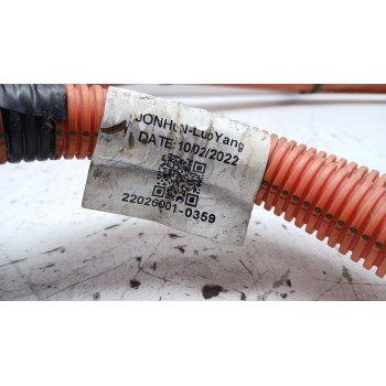 Recambio de cable para dacia spring ev (b6m1) referencia OEM IAM 220260010359  