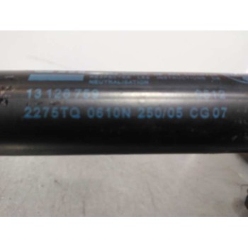 Recambio de amortiguadores maletero / porton para opel zafira b cosmo referencia OEM IAM 13128759  