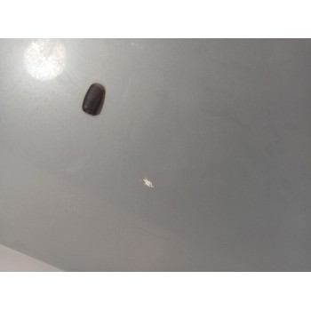 Recambio de capot para ford mondeo iv (ba7) 2.0 tdci referencia OEM IAM 1469592  