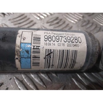 Recambio de amortiguador trasero derecho para citroën c4 cactus feel referencia OEM IAM 9809739280  