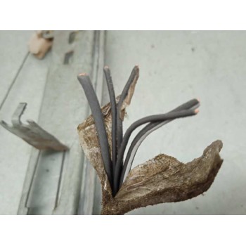 Recambio de elevalunas delantero izquierdo para renault scenic ii 1.5 dci diesel referencia OEM IAM 402046C ELÉCTRICO 5 CABLES