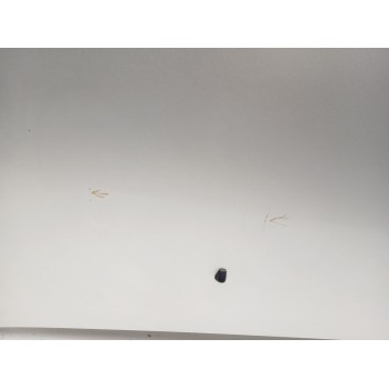 Recambio de capot para honda fr-v (be) 2.2 i ctdi (be5) referencia OEM IAM 60100SJD305ZZ  