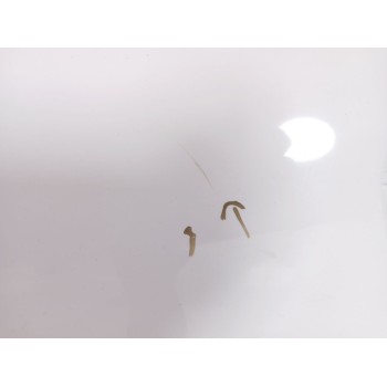 Recambio de porton trasero para seat ibiza iv (6j5, 6p1) 1.2 tsi referencia OEM IAM 6J8827024  