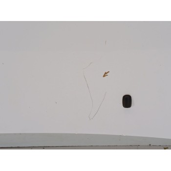 Recambio de capot para ford c-max edition referencia OEM IAM   