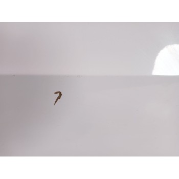 Recambio de puerta delantera izquierda para seat ibiza iv (6j5, 6p1) 1.2 tsi referencia OEM IAM 6J4831055  