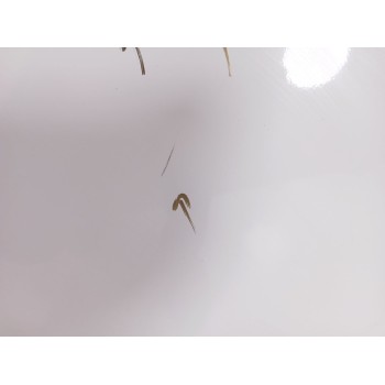 Recambio de puerta trasera derecha para seat ibiza iv (6j5, 6p1) 1.2 tsi referencia OEM IAM 6J8833056  