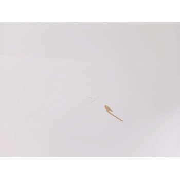 Recambio de puerta trasera derecha para seat ibiza iv (6j5, 6p1) 1.2 tsi referencia OEM IAM 6J8833056  