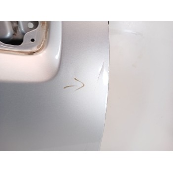 Recambio de puerta delantera derecha para nissan pathfinder iii (r51) 2.5 dci 4wd referencia OEM IAM 80100EB330  