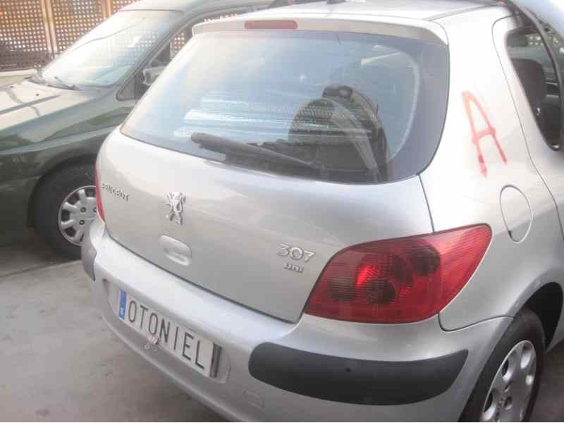 PEUGEOT 307 (S1)