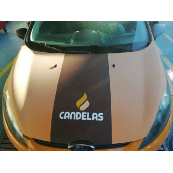 ford fiesta (cb1) del año 2010