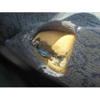 renault clio i fase i+ii (b/c57) del año 1997